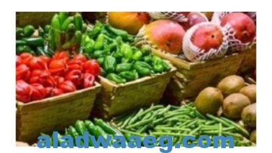 صورة سعر الفاكهة والخضروات اليوم الأحد 13 – 11 – 2022