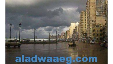 صورة الاسكندرية الان برق ورعد “