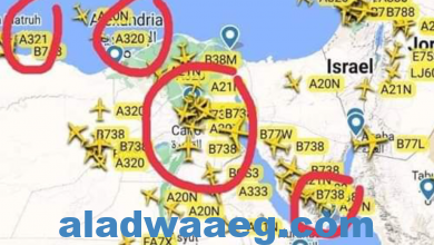 صورة حركة الطيران من و الى مصر الآن :