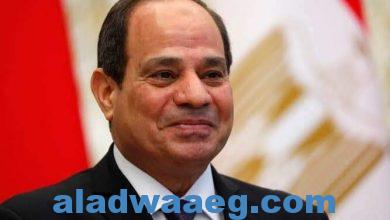 صورة الرئيس السيسى : مصر تؤكد رفضها لآى تدخلات فى شئون العراق