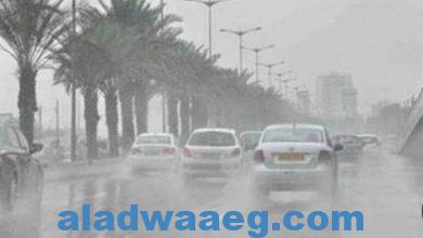 صورة طقس يوم رأس السنه شبوره وسقوط امطار وتصل درجة الحرارة ليلا إلى 10 درجات