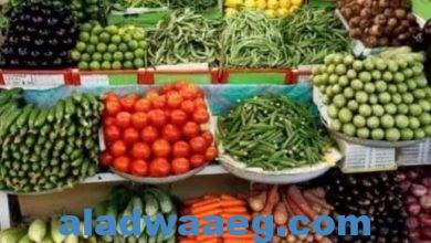 صورة تعرف على أسعار الخضراوات اليوم السبت الموافق 31 ديسمبر