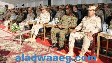 صورة المتحدث العسكري : ختام فعاليات التدريب المصري السوداني «حارس الجنوب – 2»