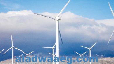 صورة الكهرباء تخطط لتوقيع اتفاقيات مع تحالفات عالمية ومحلية لشراء الطاقة من محطات الرياح
