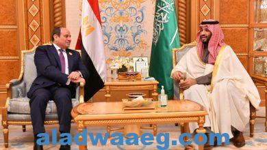 صورة الرئيس السيسي يبحث مع بن سلمان تعزيز العلاقات المصرية – السعودية