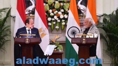 صورة كلمة السيد الرئيس عبد الفتاح السيسي خلال المؤتمر الصحفي المشترك مع رئيس وزراء جمهورية الهند