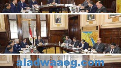 صورة وزير الزراعة يستقبل ممثلو إحدى الشركات الهولندية بالقاهرة