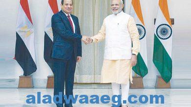 صورة فرص التعاون الاستثمارى بين مصر والهند