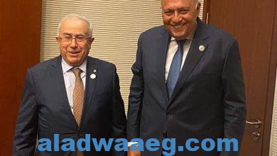 صورة وزير الخارجية يلتقي مع وزير خارجية الجزائر