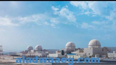 صورة الإمارات. تحقيق أهداف البرنامج النووي السلمي