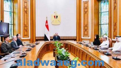 صورة رئيس وزراء العراق :نتطلع لتطوير التعاون مع مصر فى ضوء العلاقات الأخوية شديدة التميز بين البلدين