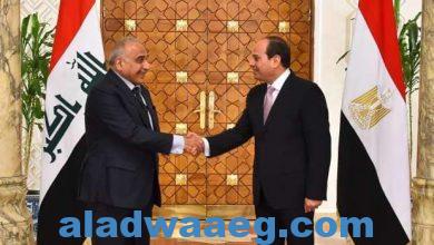 صورة ناجى الشهابى ” يؤكد حرص مصر على تواصل التعاون الثنائي مع العراق