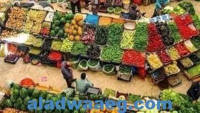 صورة اسعار الخضروات والفاكهة اليوم