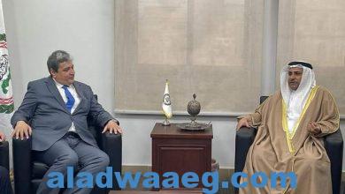 صورة ” البرلمان العربي ” يعقد لقاء تشاوري مع رئيس المنظمة العربية لحقوق الإنسان