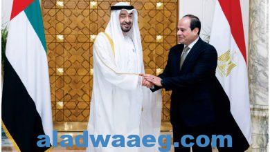 صورة ” الشهابى ” يشيد بزيارة رئيس دولة الإمارات العربية المتحدة لبلده الثانى مصر