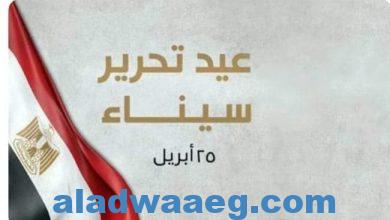 صورة محافظو الجمهورية يهنئون الرئيس السيسي بالذكرى الـ41 لتحرير سيناء