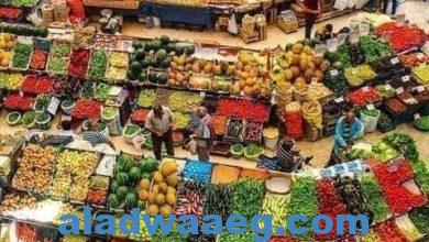 صورة تعرف على أسعار الخضروات والفاكهة اليوم في سوق العبور
