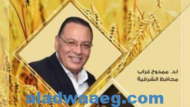 صورة تسابق مراكز ومدن محافظة الشرقية في زراعة و حصاد سنابل القمح الذهبية