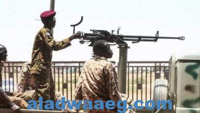 صورة ليلي الهمامي  تأمل من الجيش السوداني حسم الصراع المسلح والمحافظة على وحدة بلاده