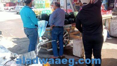 صورة تواصل حملات إزالة الإشغالات وتكثيف أعمال النظافة بعدد من الأحياء بمحافظة بورسعيد