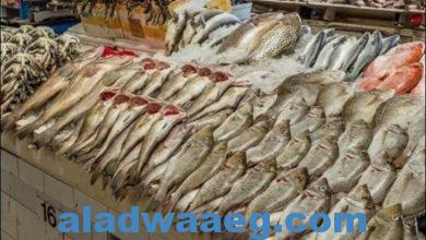 صورة تعرف على أسعار الأسماك اليوم