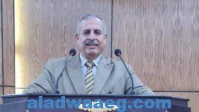 صورة دكتور محمد فؤاد خطط مصر للاستفادة من الهيدروجين الاخضر
