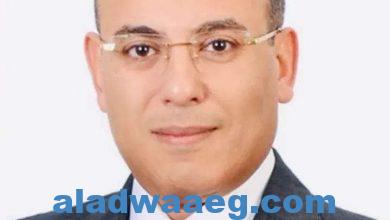 صورة المتحدث باسم رئاسة الجمهورية: الدولة المصرية حريصة على دعم العمل العربي المشترك