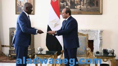 صورة السيسي يستقبل اليوم وزير الشئون الخارجية والتعاون الموريتاني