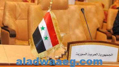 صورة عودة النبض الي الجسد برلمان الشباب الافريقى يبارك رجوع سوريا للجامعة العربية