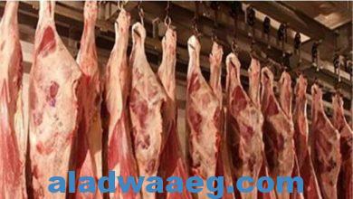 صورة التموين توفير اللحوم السودانية بسعر 195 جنيها للكيلو