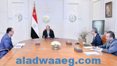 صورة بحضور مدبولى الرئيس السيسى يجتمع مع وزير الاتصالات كامل شحاته