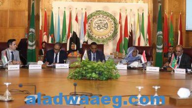 صورة الصومال توصي بأهمية تعزيز التعاون العربي لمواجهة التداعيات الاقتصادية العالمية