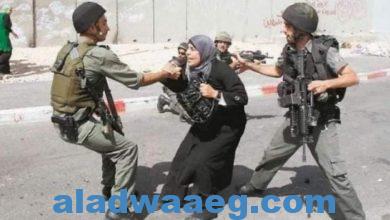 صورة ” ليلي الهمامي ” تدعو المجتمع الدولي بضرورة تمكين وحماية المرأة الفلسطينية