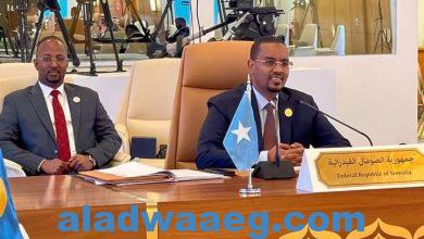 صورة مندوب الصومال بالجامعة العربية يترأس وفد بلاده في الاجتماع الوزاري الثاني للدول العربية