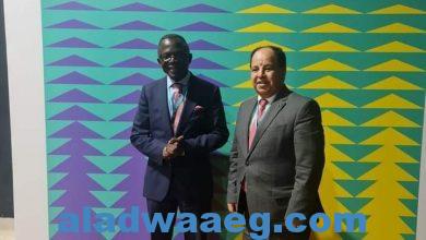 صورة وزير المالية.. فى لقائه مع نظيره بالكونغو على هامش اجتماعات «أفريكسيم بنك» بغانا