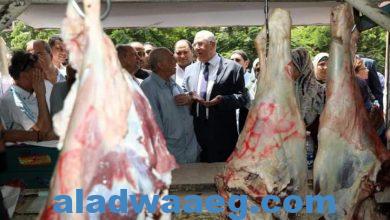 صورة وزير الزراعة يتفقد المنافذ التابعة للوزارة ويوجه بتوفير السلع بالأسعار المخفضة للمواطنين