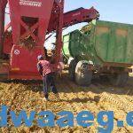 معدات قطاع الزراعة الالية تواصل العمل في الصوب والتجهيز لحصاد الأرز والذرة