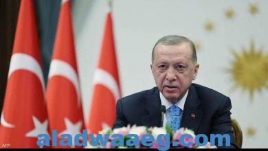 صورة الرئيس التركي رجب طيب أردوغان دعا إلى تمديد مبادرة حبوب البحر الأسود