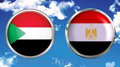 صورة ” سياسية تونسية ” ترحب باستضافة مصر مؤتمر قمة دول جوار السودان