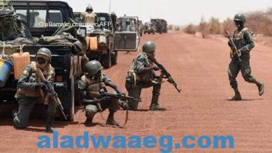 صورة الجيش المالي يتعرض لكمين إرهابي قرب حدود النيجر