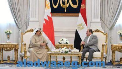 صورة السيد الرئيس يستقبل ملك البحرين بمدينة العلمين الجديدة