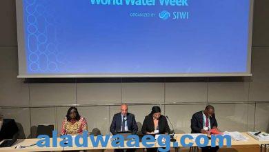 صورة وزير الرى يشهد إطلاق مجلة “صوت أفريقيا للمياه” (AVOW)