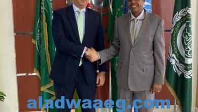 صورة وزير خارجية جيبوتي يستقبل السفير المصري بمناسبة إنتهاء فترة عمله