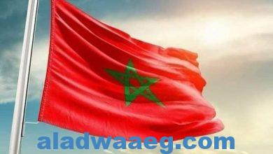 صورة ” المنظمة المغربية للمواطنة ” تعلق الوقفة الإحتجاجية لانشغالها ببناء ما خلفه الزلازال بالوطن