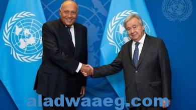 صورة وزيرالخارجية:يلتقي بسكرتير عام الأمم المتحدة