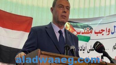 صورة  السفير دياب اللوح يطالب بالتدخل الفوري لوقف الإبادة الجماعية ضد الشعب الفلسطيني في قطاع غزة