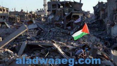 صورة ليلي الهمامي: جيش الاحتلال يستخدم سياسة الأرض المحروقة ضد قطاع غزة