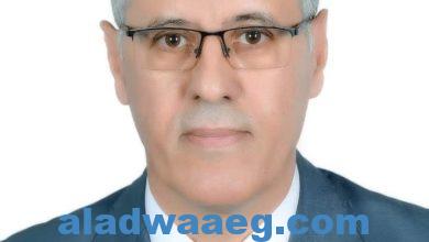 صورة وزير التعليم العالي يصدر قرارًا بتعيين الدكتور ماهر مصباح أمينًا لمجلس الجامعات الأهلية