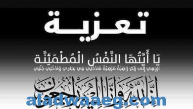 صورة محافظ الجيزة ينعي وفاة مستشار رئيس الجمهورية وأمين صندوق تحيا مصر