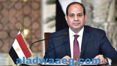 صورة السيد الرئيس/ عبد الفتاح السيسي أثناء كلمتة أمام قمة القاهرة للسلام